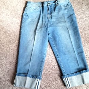 Talbot's Stretch Jeans